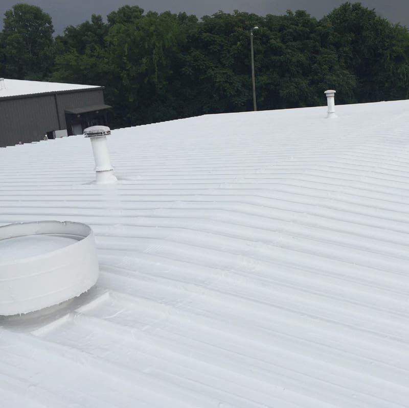 Roof Repair Companies Lake Buena Vista Florida